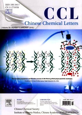 Chinese Chemical Letters